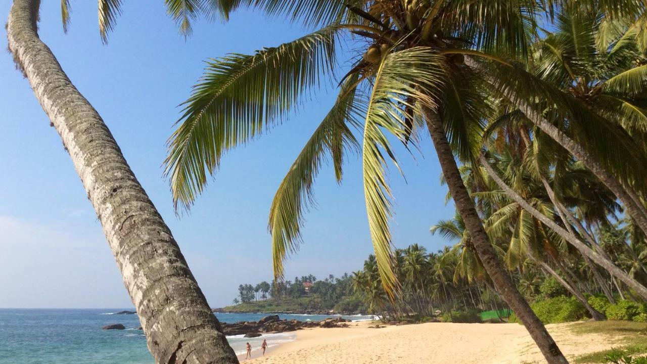 Green Garden Cabanas Tangalle Ngoại thất bức ảnh