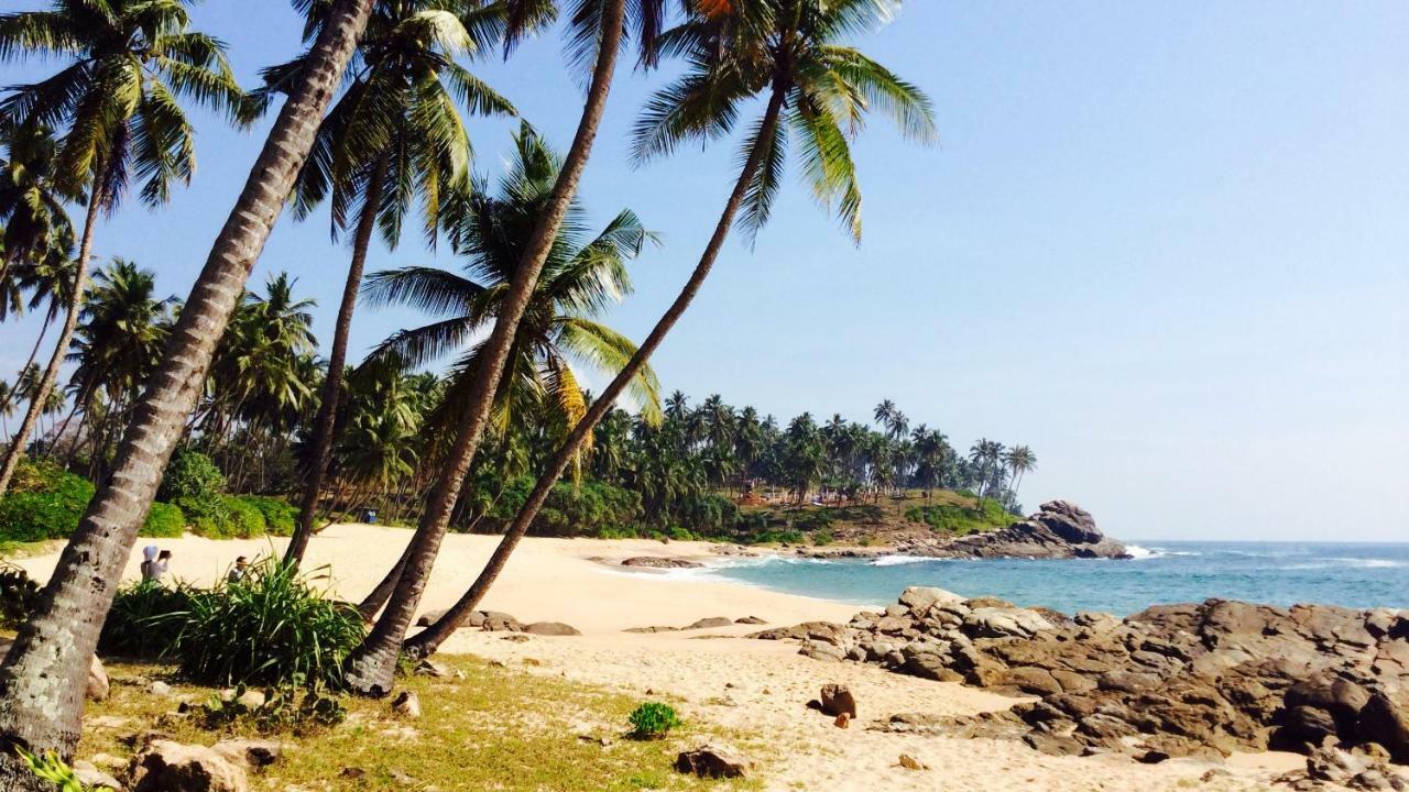 Green Garden Cabanas Tangalle Ngoại thất bức ảnh