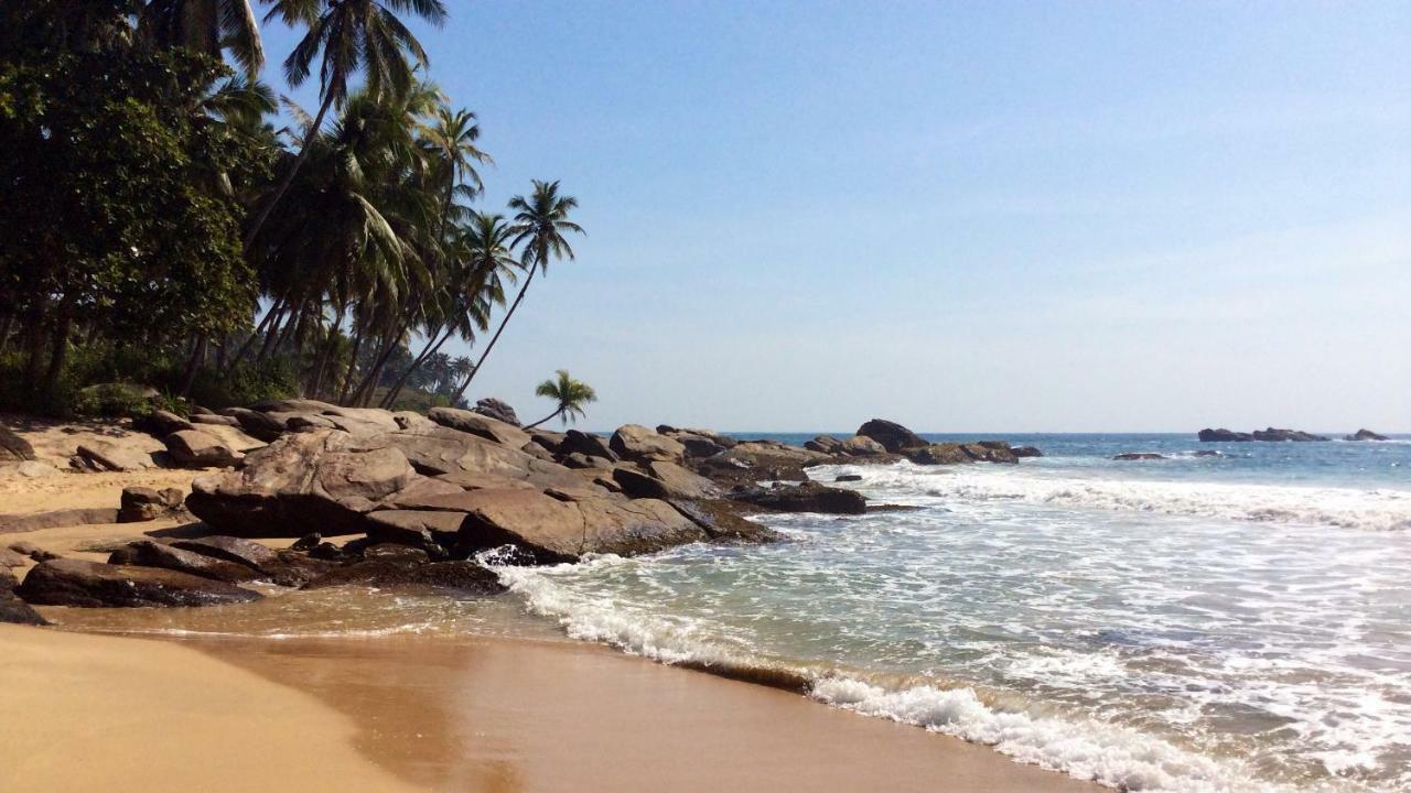 Green Garden Cabanas Tangalle Ngoại thất bức ảnh