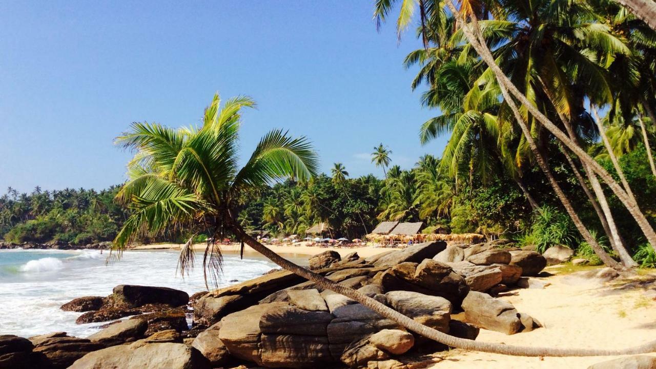 Green Garden Cabanas Tangalle Ngoại thất bức ảnh