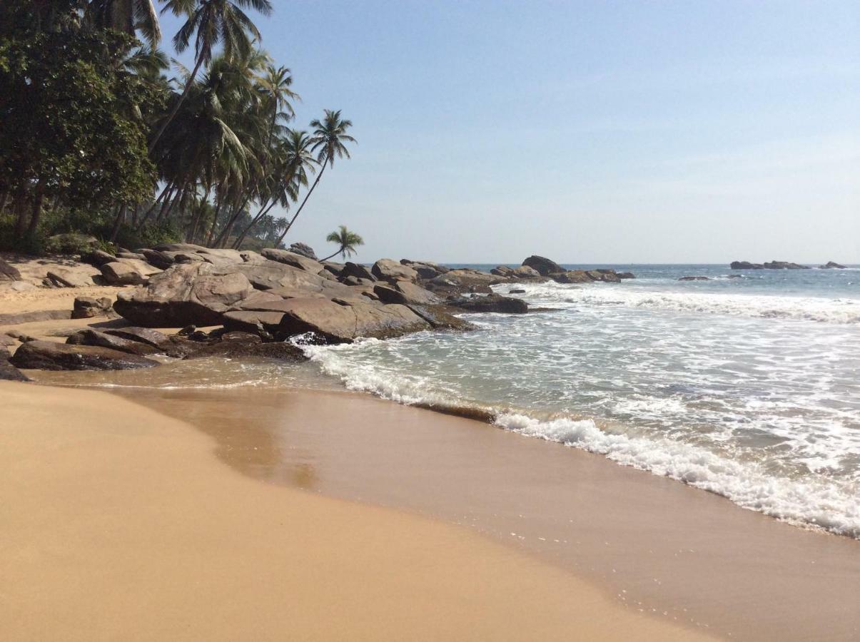 Green Garden Cabanas Tangalle Ngoại thất bức ảnh