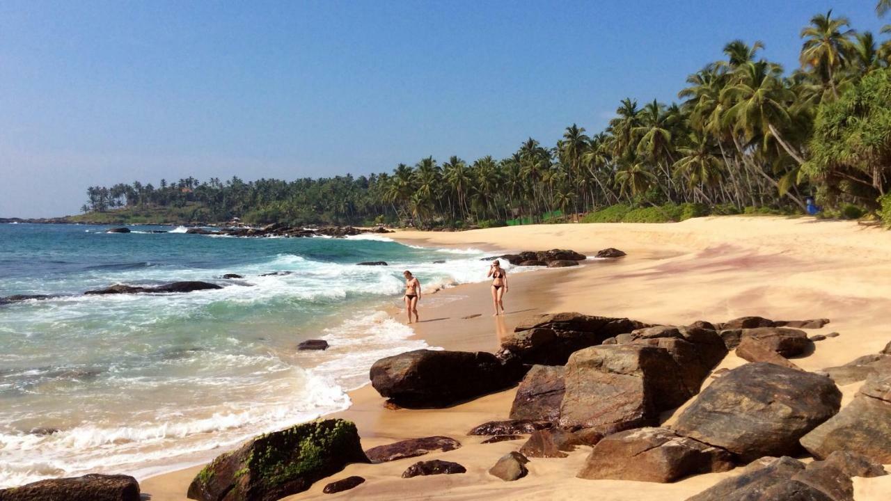 Green Garden Cabanas Tangalle Ngoại thất bức ảnh